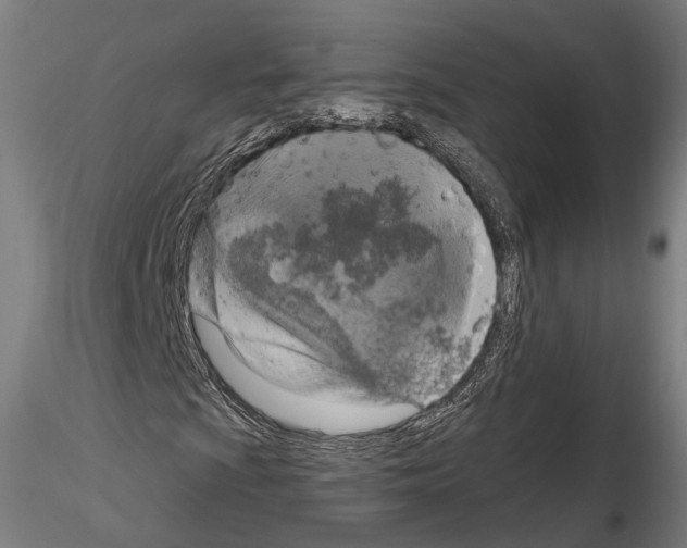 X0000114611009200912010932