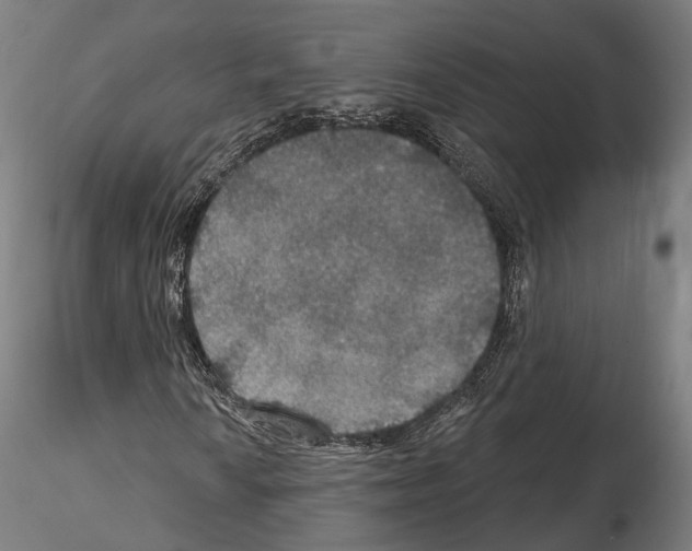 X0000114611010200912010932