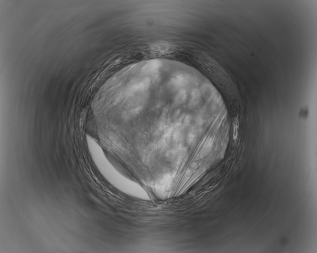 X0000114611011200912010932