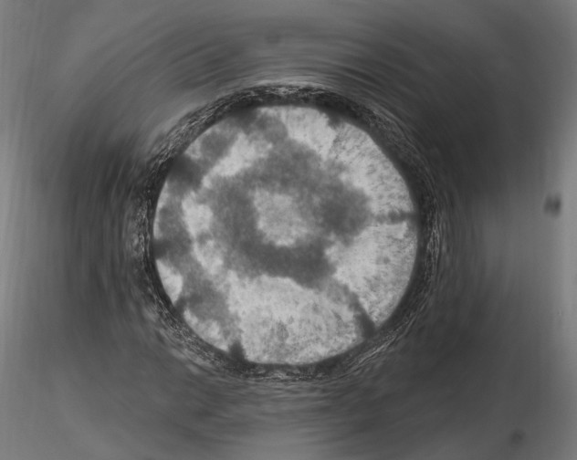 X0000114611014200912010932