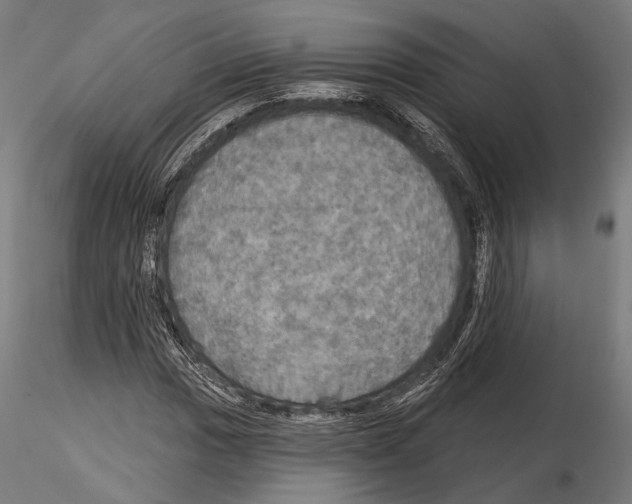 X0000114611017200912010932