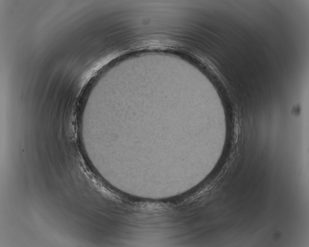 X0000114611018200912010932