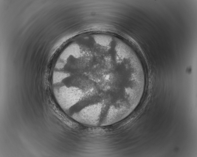 X0000114611019200912010932