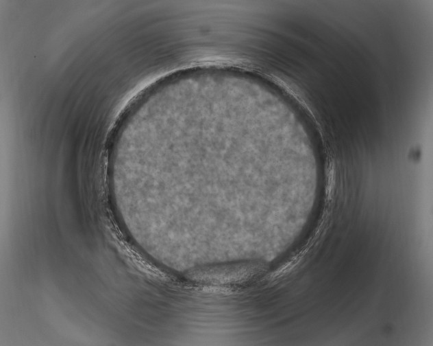 X0000114611021200912010932