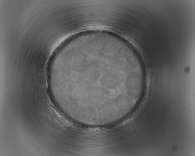 X0000114611022200912010932