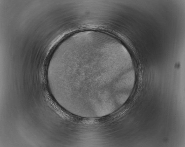 X0000114611023200912010932