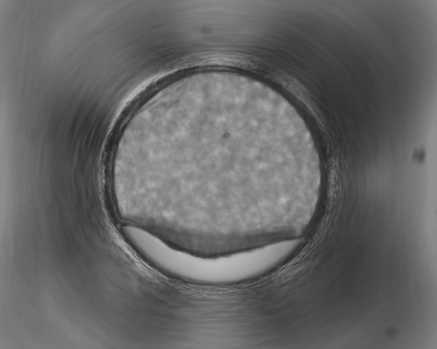 X0000114611024200912010932