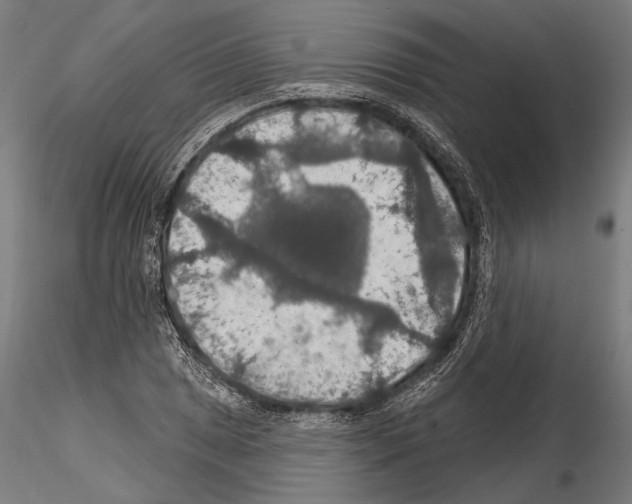 X0000114611025200912010932