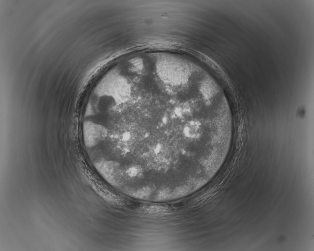 X0000114611027200912010932