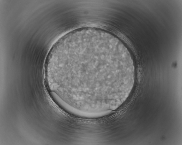 X0000114611028200912010932