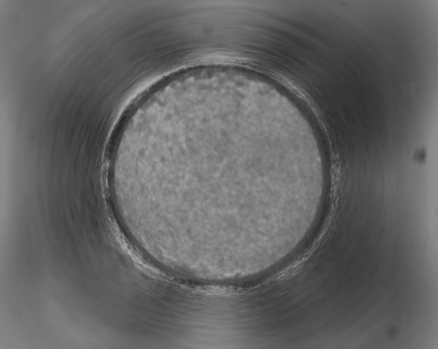 X0000114611029200912010932