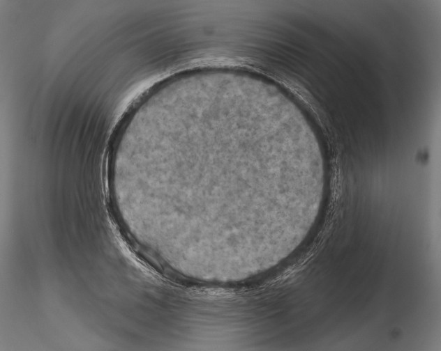 X0000114611030200912010932