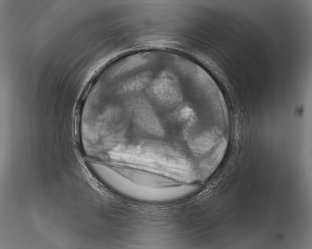 X0000114611031200912010932