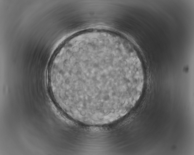 X0000114611032200912010932