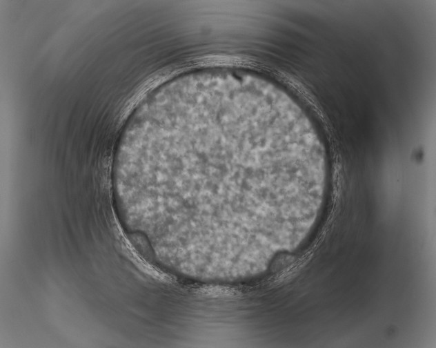 X0000114611033200912010932