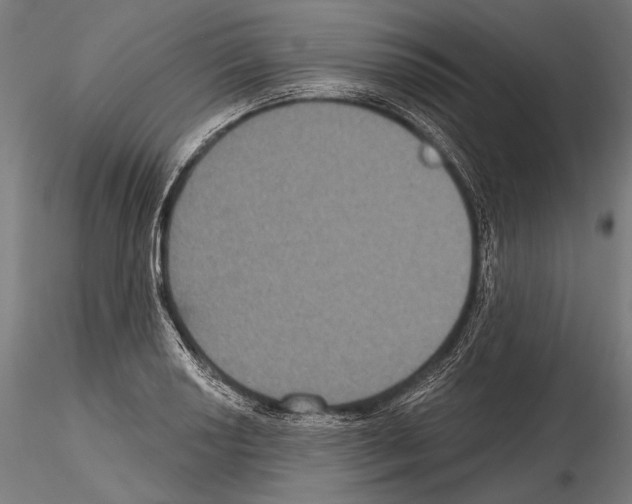 X0000114611034200912010932