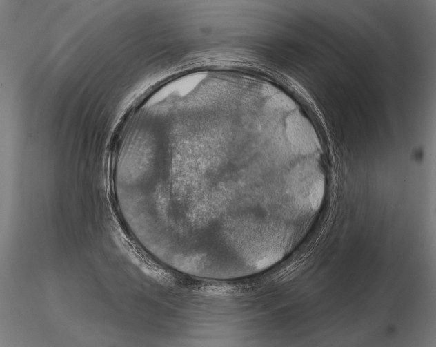 X0000114611035200912010932