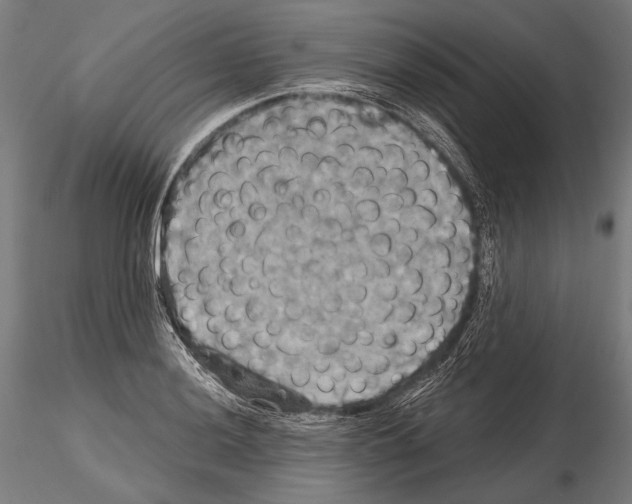 X0000114611036200912010932