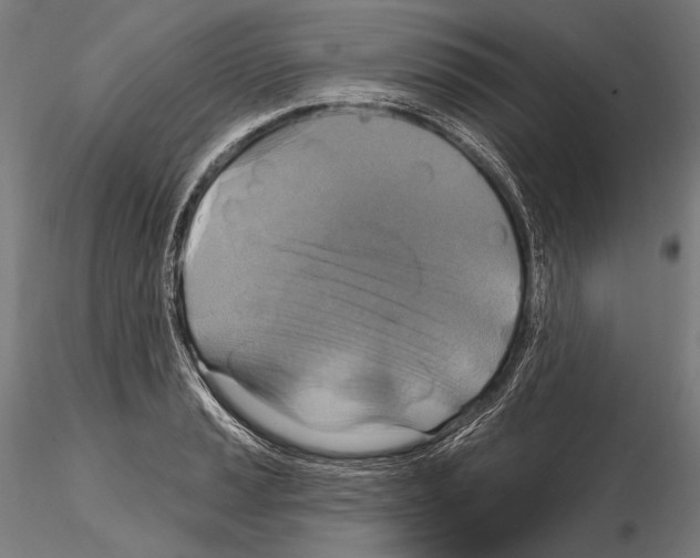 X0000114611037200912010932