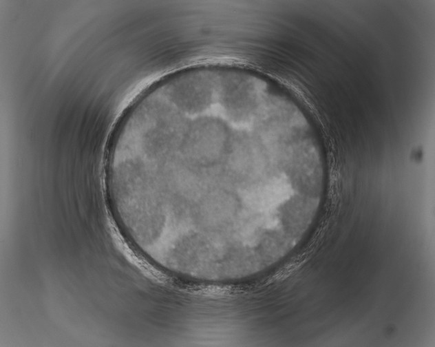 X0000114611038200912010932