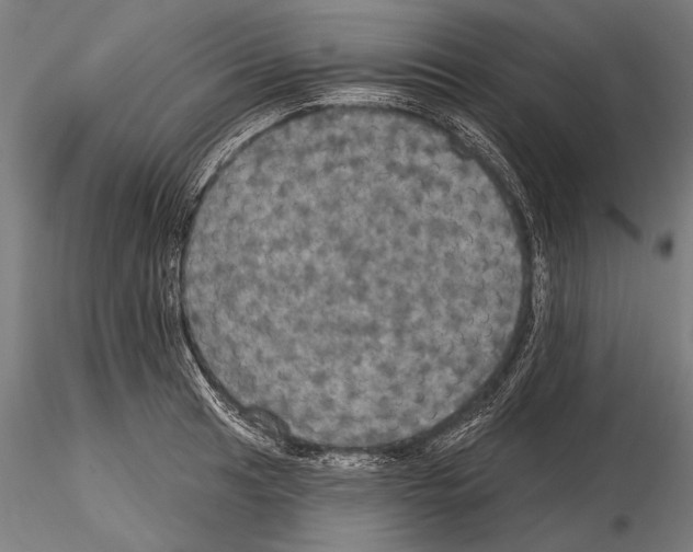 X0000114611041200912010932