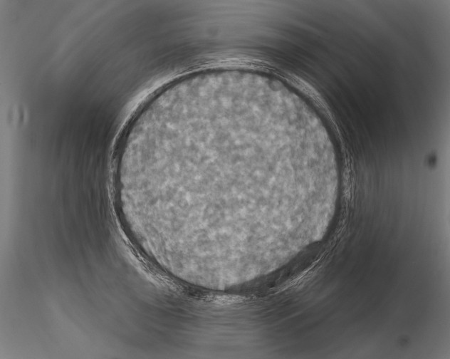 X0000114611043200912010932