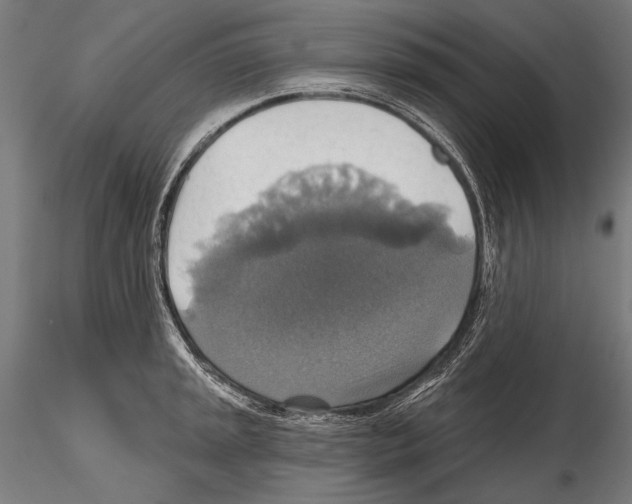 X0000114611045200912010932