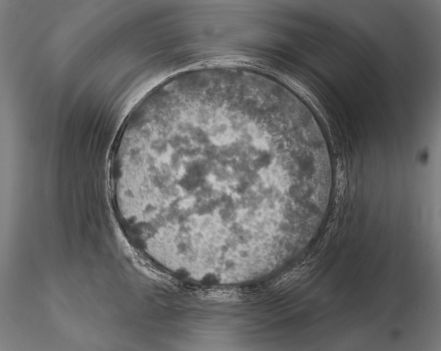 X0000114611047200912010932