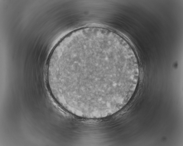 X0000114611048200912010932