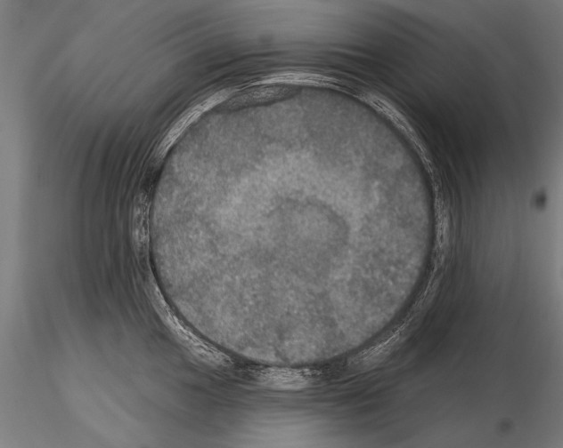 X0000114611049200912010932