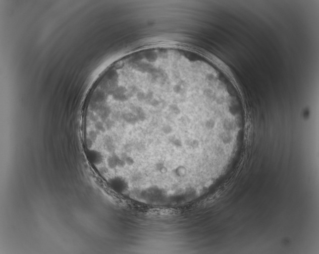 X0000114611051200912010932