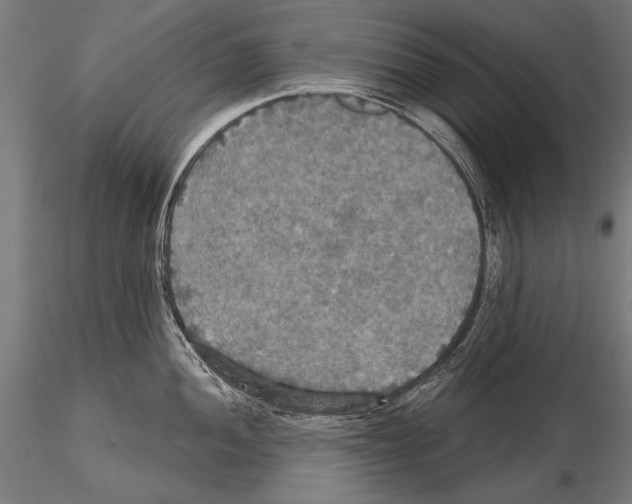 X0000114611052200912010932