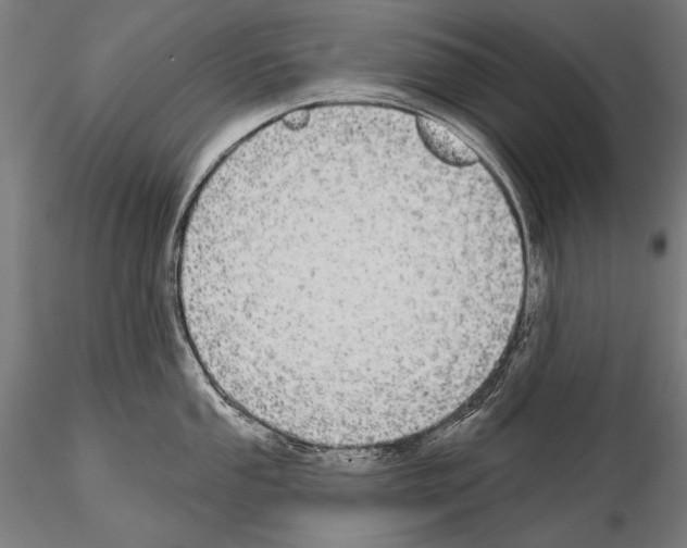 X0000114611053200912010932