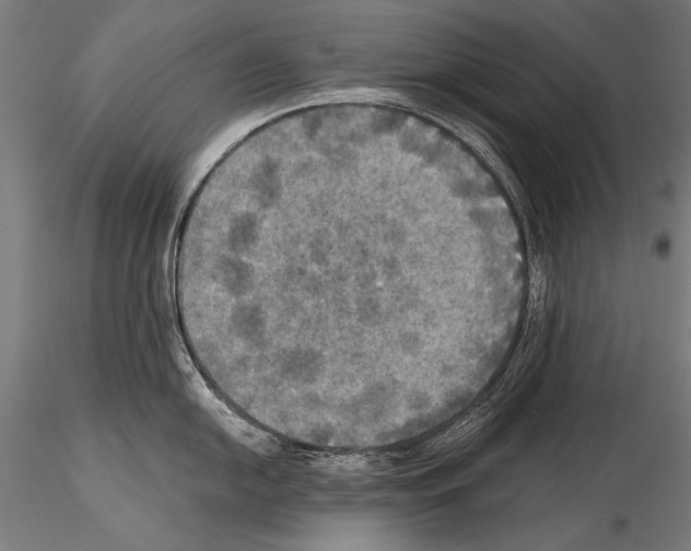 X0000114611054200912010932