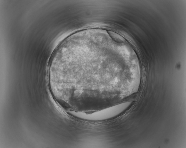 X0000114611055200912010932