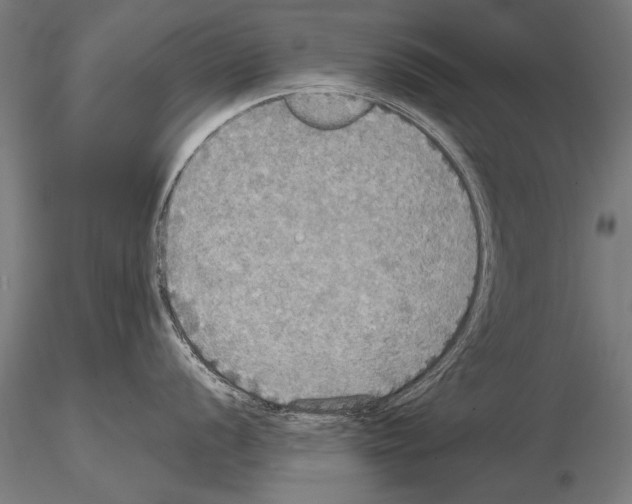 X0000114611056200912010932