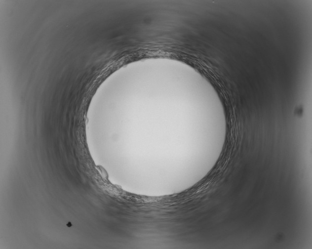 X0000114611057200912010932