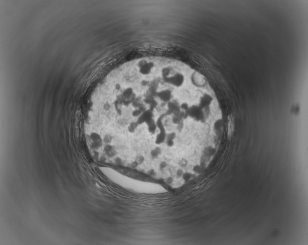 X0000114611059200912010932