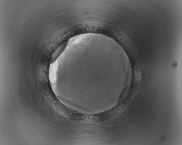 X0000114611060200912010932