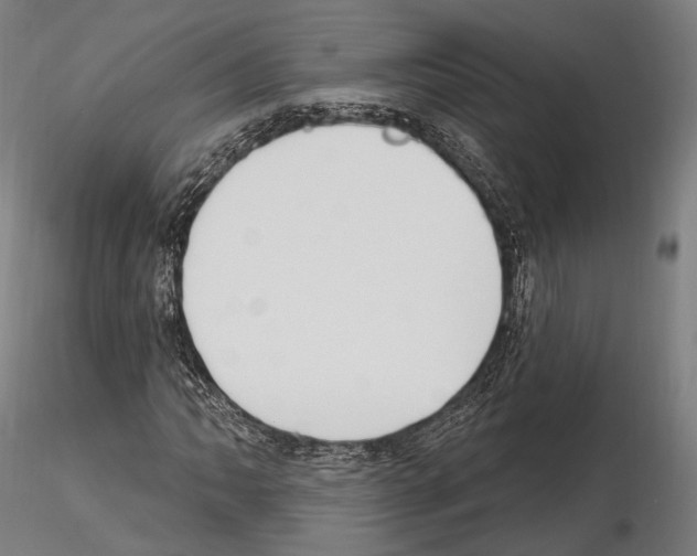 X0000114611062200912010932