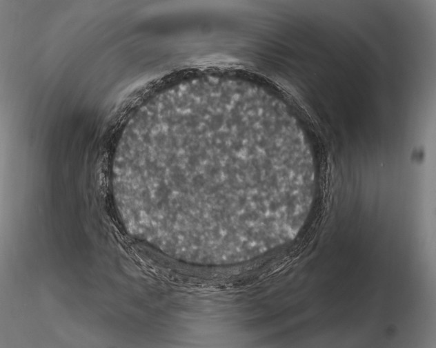 X0000114611063200912010932