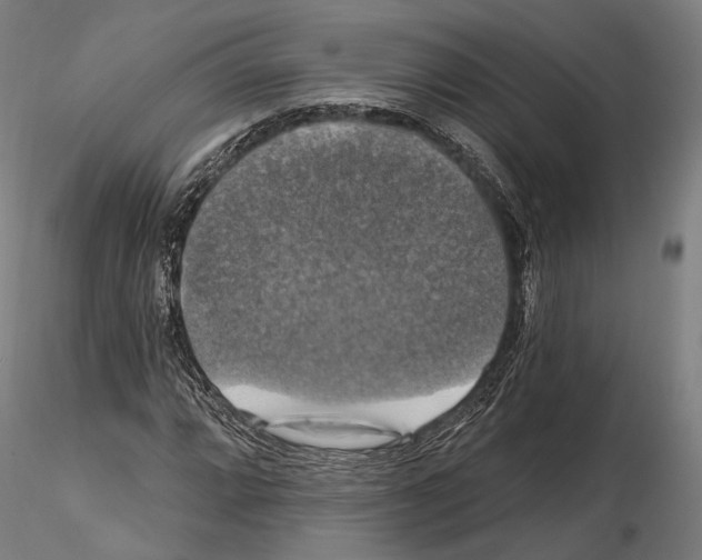 X0000114611064200912010931