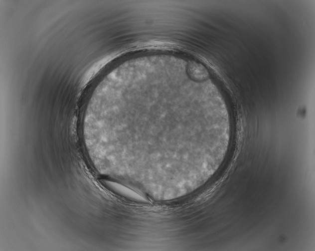 X0000114611066200912010931