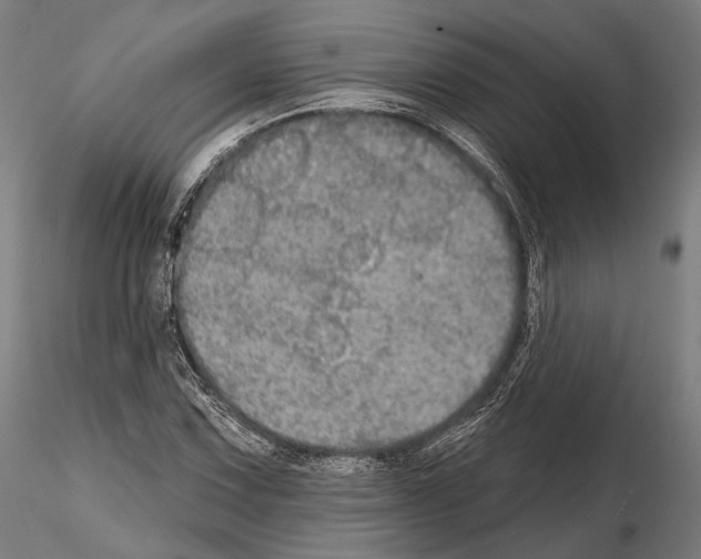 X0000114611067200912010931