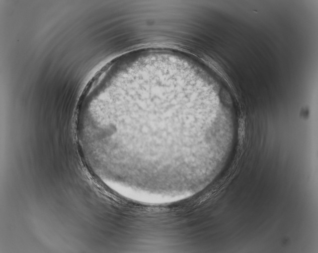 X0000114611068200912010931