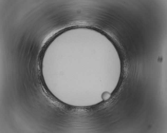 X0000114611070200912010931