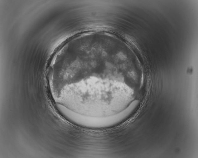 X0000114611071200912010931