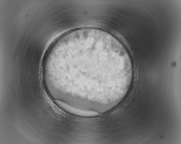 X0000114611072200912010931