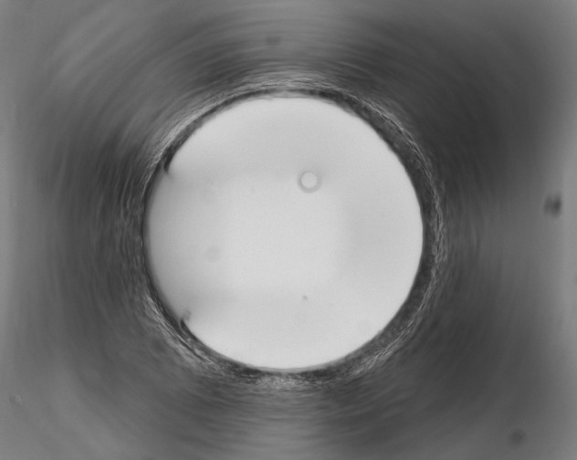 X0000114611073200912010931