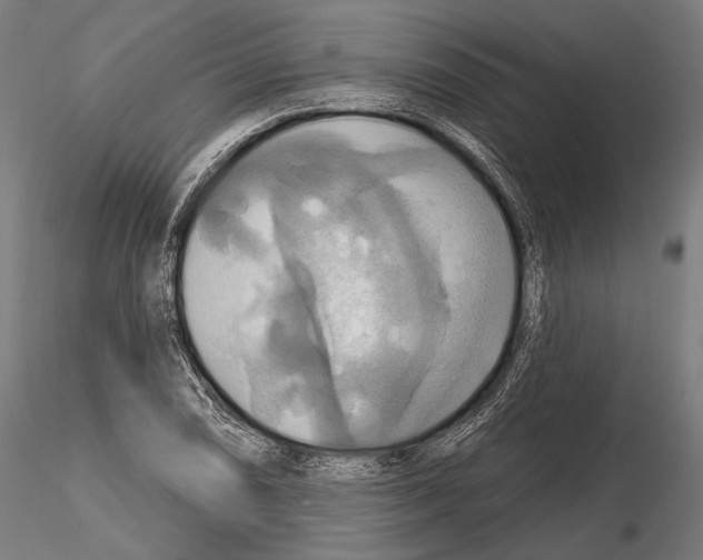 X0000114611074200912010931